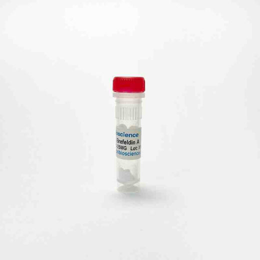 Brefeldin A, Inhibits intracellular transport