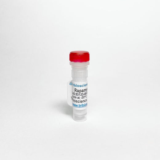 Rapamycin, mTOR inhibitor