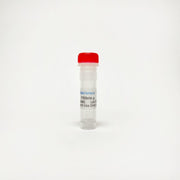 Pifithrin mu, Hsp70 inhibitor