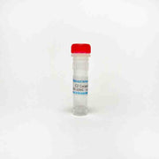 C2 Ceramide, Cell permeable ceramide
