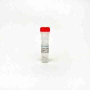 5-Azacytidine, DNA hypomethylation agent