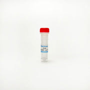 E-64, Cysteine protease inhibitor