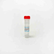 Prostaglandin E2, Prostaglandin E (EP) agonist