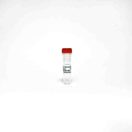 JQ1 (+), Bromodomain inhibitor