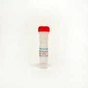 WIN-55212-2 mesylate, Cannabinoid CB1/CB2 agonist