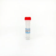 Myriocin (ISP-1), Blocks sphingolipid biosynthesis