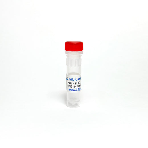 H89 · 2HCl, PKA inhibitor