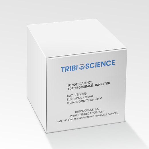 Irinotecan HCl, Topoisomerase I inhibitor
