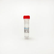 Zerumbone, Apoptosis enhancer