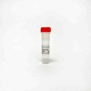 Sesamin, Anti-inflammatory natural product