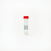 Stattic, STAT3 inhibitor