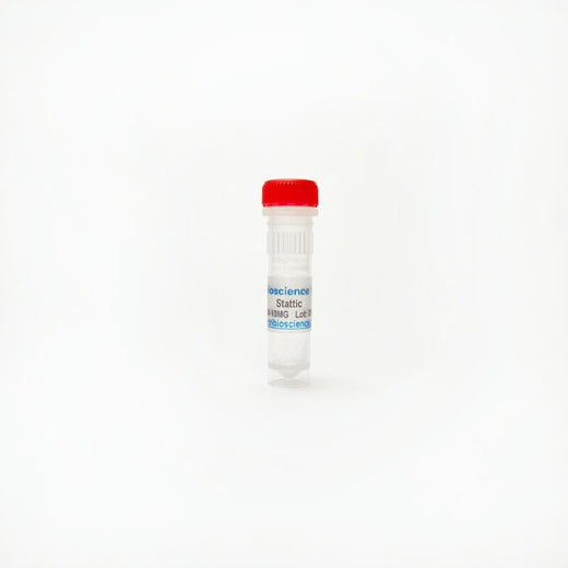 Stattic, STAT3 inhibitor