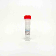 Noopept, Nootropic and neuroprotective agent