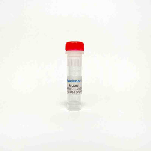 Noopept, Nootropic and neuroprotective agent