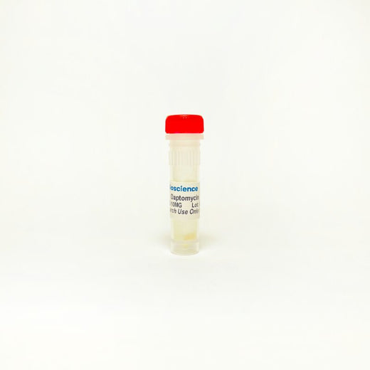 Daptomycin, Antibiotic