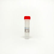 Deltamethrin, Calcineurin inhibitor; Displays neurotrophic activity