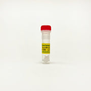 SLU-PP-332, pan-ERR agonist/Exercise mimetic