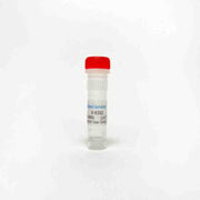 V-9302, Glutamine transport inhibitor
