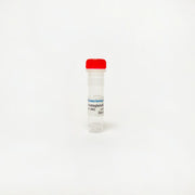 Prostaglandin A1, Endogenous prostaglandin