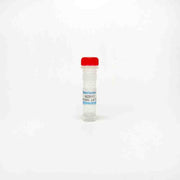 WZB117, GLUT1 Inhibitor