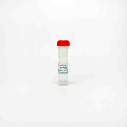 WZB117, GLUT1 Inhibitor