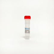 Surfactin, Lipopeptide biosurfactant