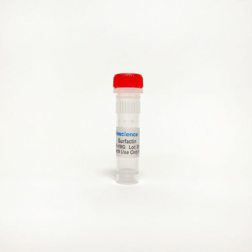 Surfactin, Lipopeptide biosurfactant