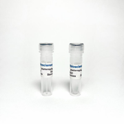 Heterophile Blocking Antibody