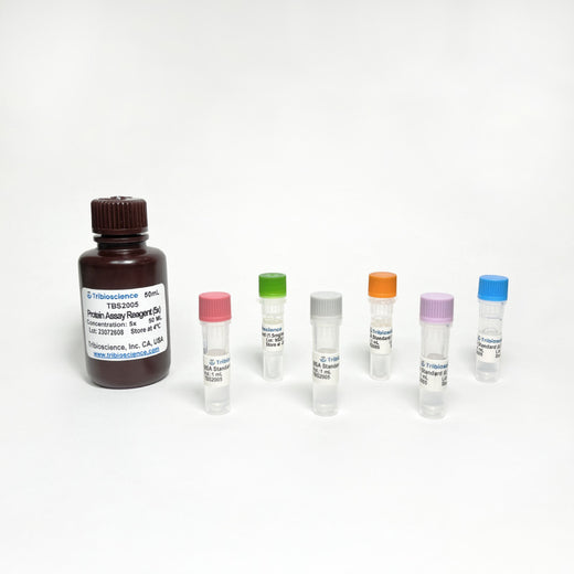 Protein Assay Kit