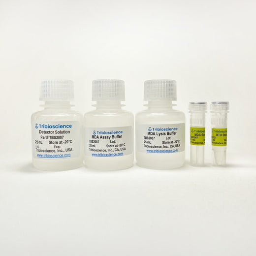 Malondialdehyde (MDA) Colorimetric Assay Kit