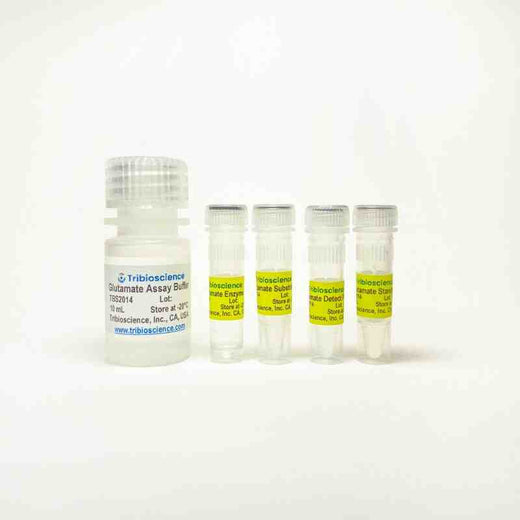 Glutamate Quantification Colorimetric Assay Kit