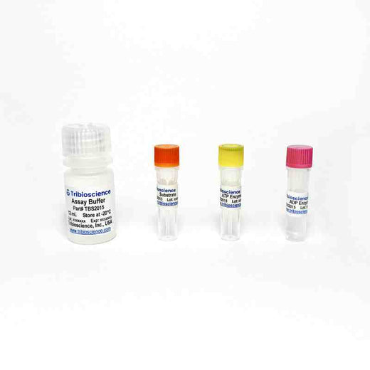 ADP/ATP Ratio Assay Kit (Bioluminescent)