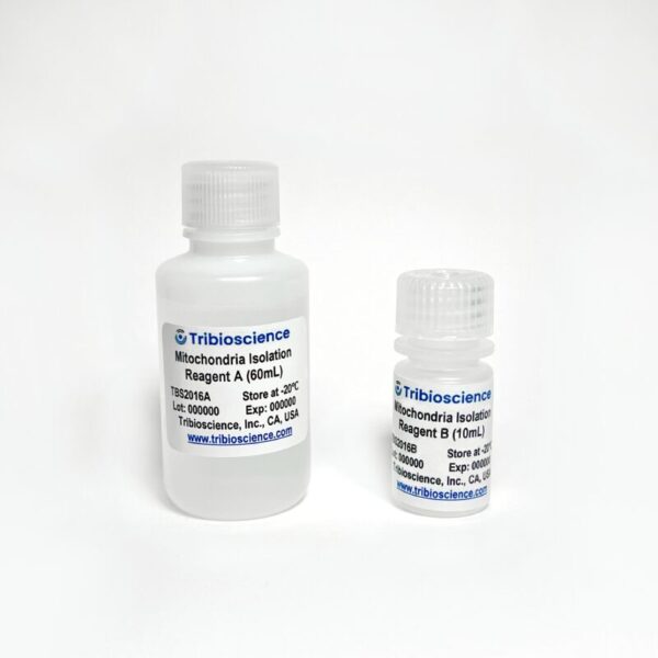 Mitochondrial Isolation from Tissue and Cell Kit