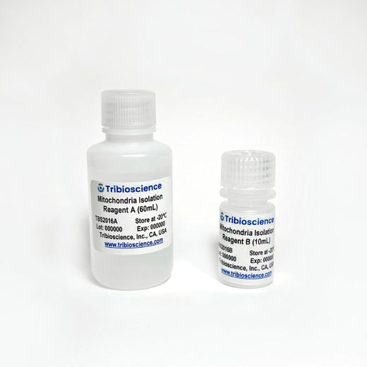 Mitochondrial Isolation from Tissue and Cell Kit