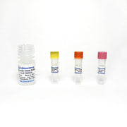 Acridine Orange-Propidium Iodide (AO-PI) Stain Kit