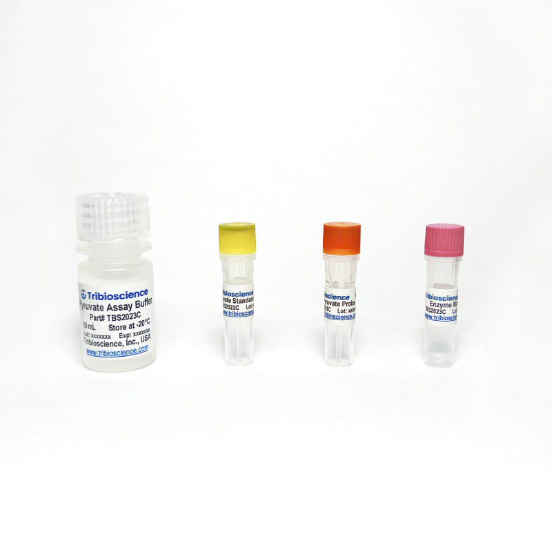 Acridine Orange-Propidium Iodide (AO-PI) Stain Kit