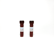 Acridine Orange-Propidium Iodide (AO-PI) Stain Kit