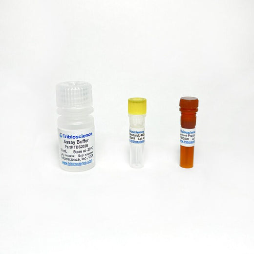 Glutathione (GSH) Fluorometric Assay Kit