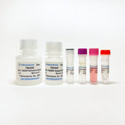 NADH/NAD Quantification Colorimetric Assay Kit