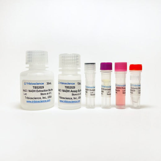 NADH/NAD Quantification Colorimetric Assay Kit