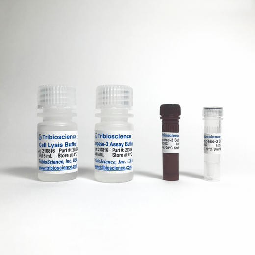 Caspase-3 Colorimetric Assay Kit
