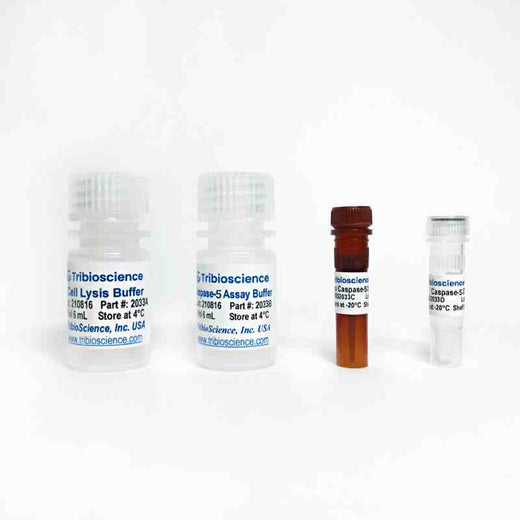Caspase-5 Fluorometric Assay Kit
