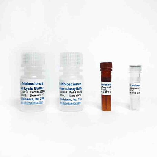 Caspase-10 Fluorometric Assay Kit