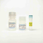 Malachite Green Phosphate Colorimetric Assay Kit
