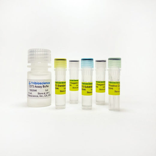 5’-Nucleotidase CD73 Activity Colorimetric Assay Kit