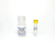 Mitochondrial Membrane Potential Assay Kit