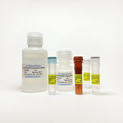 NADP/NADPH Quantification Colorimetric Assay Kit