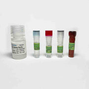 HDAC Colorimetric Assay Kit