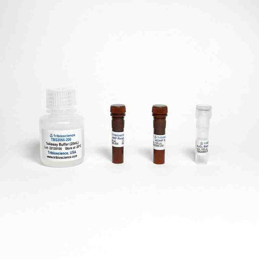 Fast Hydrogen Peroxide Assay Kit