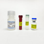 Tyrosinase Activity Colorimetric Assay Kit